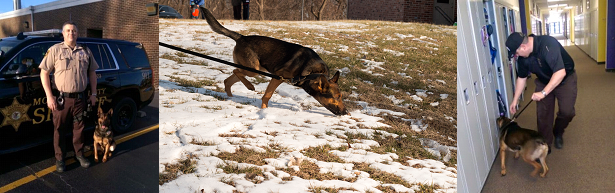 Triptych of K-9 with handler next to squad car, in snowy grass and indoors going into a room with a white door.